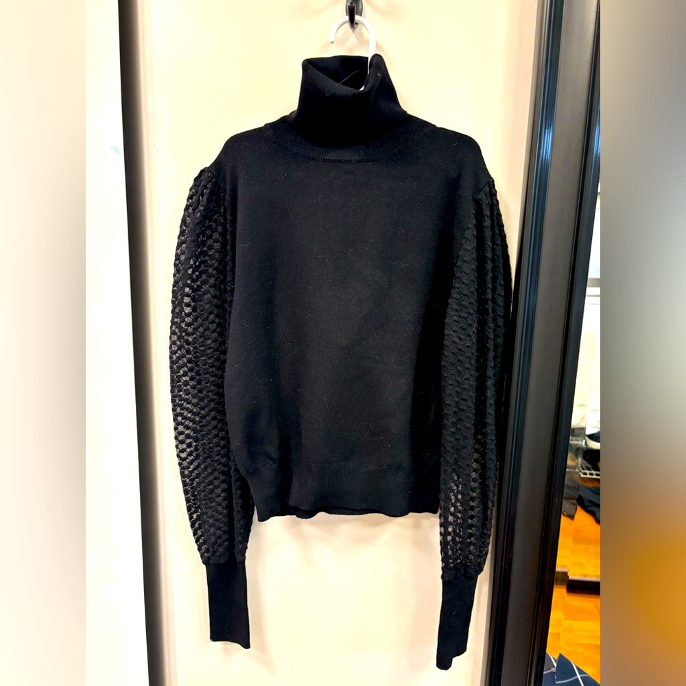 Chandail col roulé et manche transparente.  Très original.    Zara